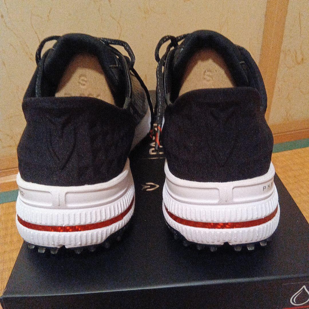 シューズ(男性用) PAYNTR GOLF X005 VESSEL