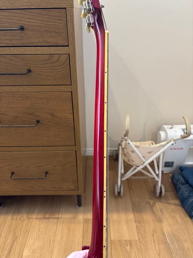 burny バーニー　SGモデル