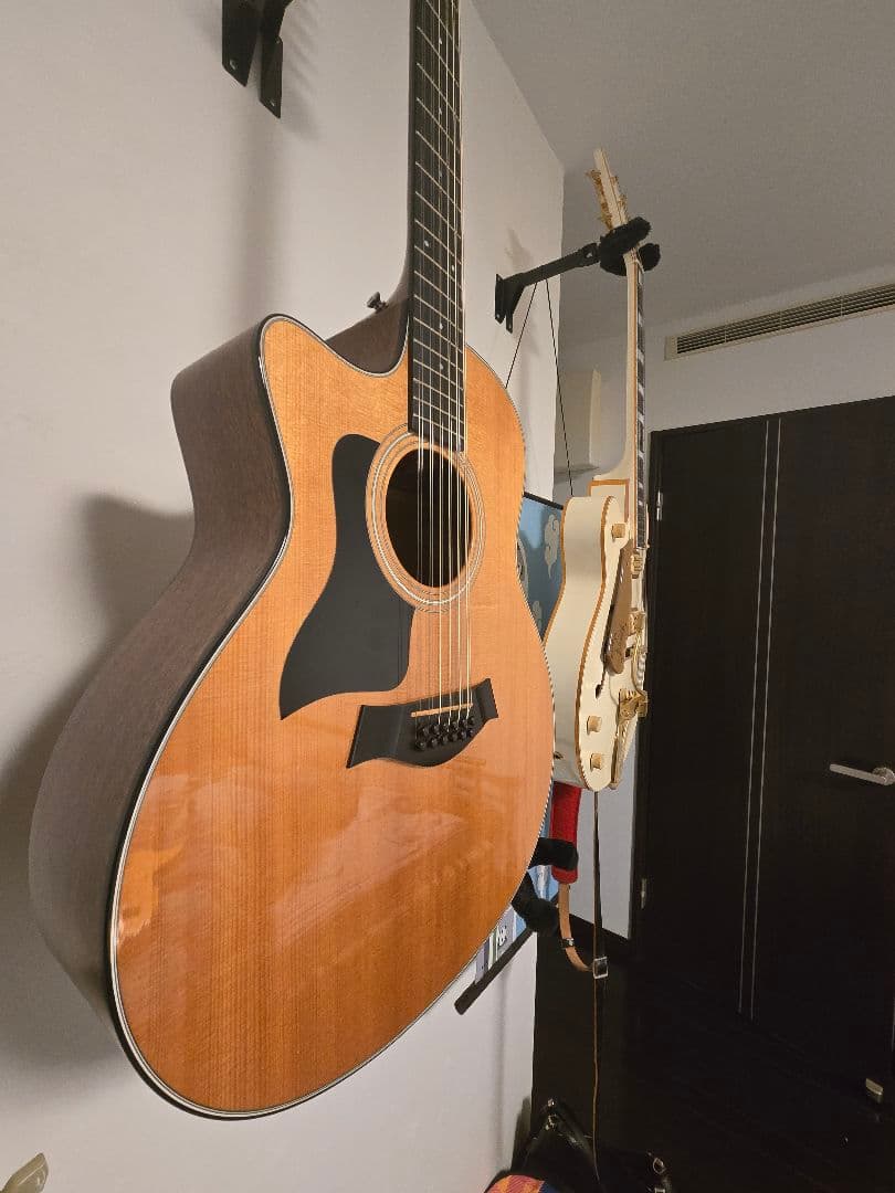 当時の定価３0万円以上　激レア　Taylor 12弦ギター　356ce