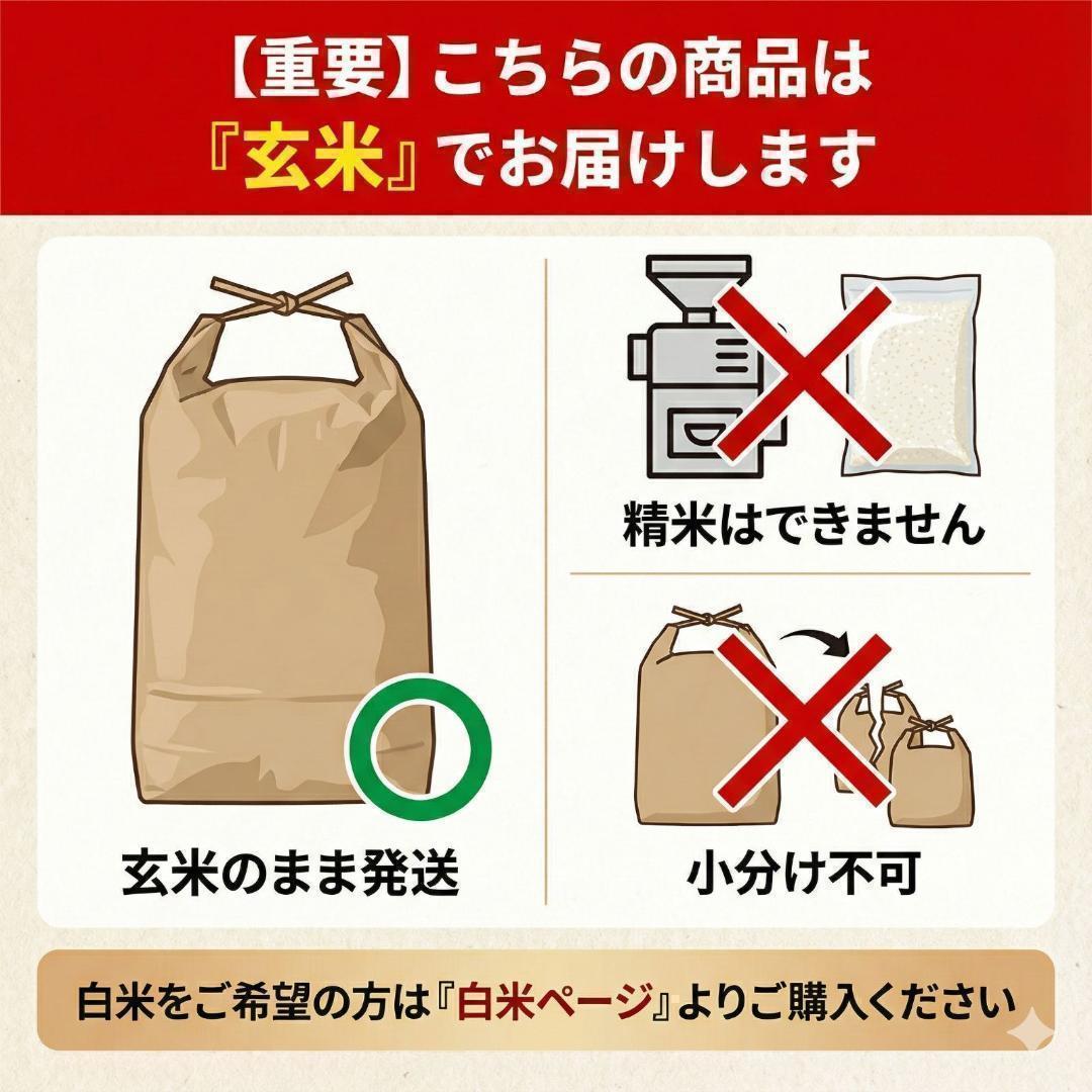 新米 令和7年度 埼玉県産 にじのきらめき 玄米 30kg 未検査米 送料込