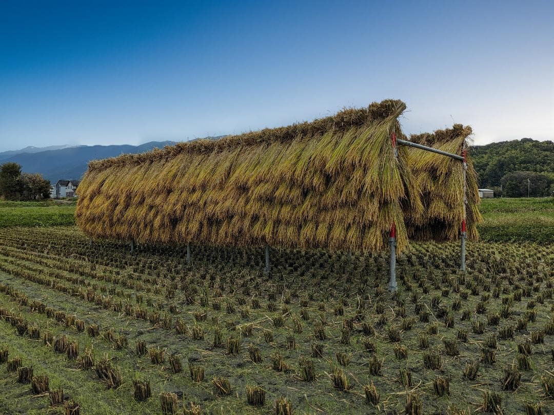 米二郎  こだわりのお米 玄米20kgと玄米粉1.5kg