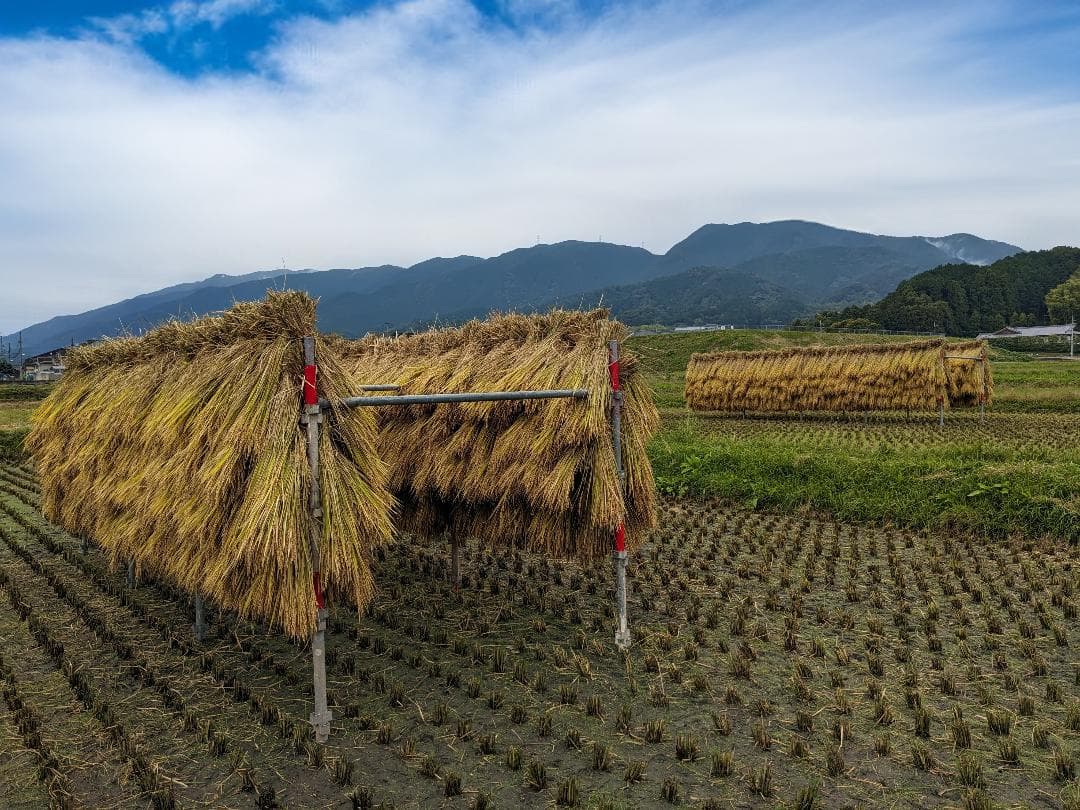 米二郎  こだわりのお米 玄米20kgと玄米粉1.5kg