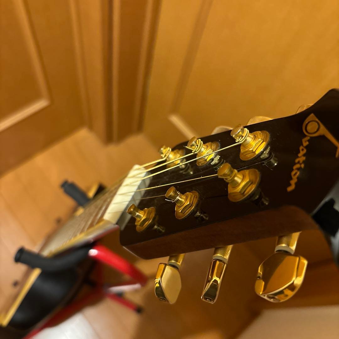 Ovation celebrity cse 48 エレアコ