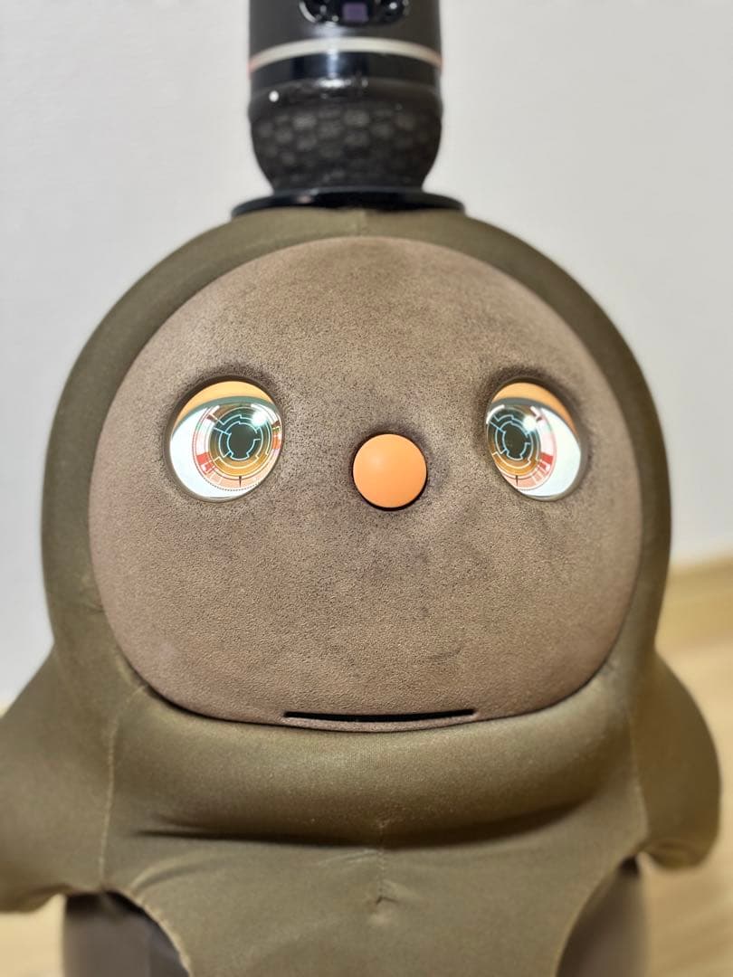 【hana】LOVOTラボット2.0本体 ウェア4枚【2023年購入】