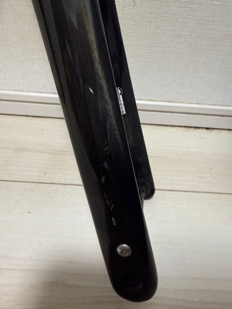 Bianchi Specialissima Disc 53size ビアンキ