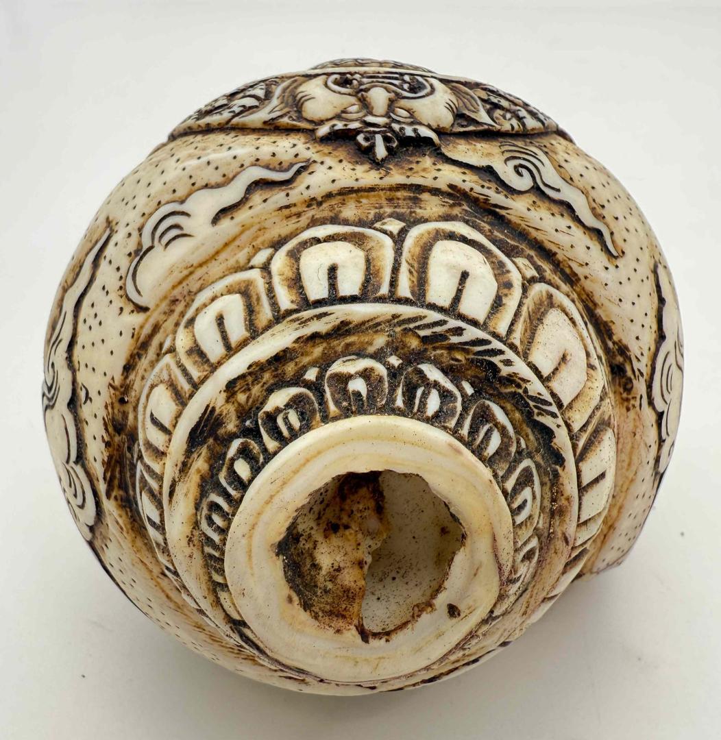 ◆チベット密教法具　法螺貝（シャンカ）・ヴィルーパ-2