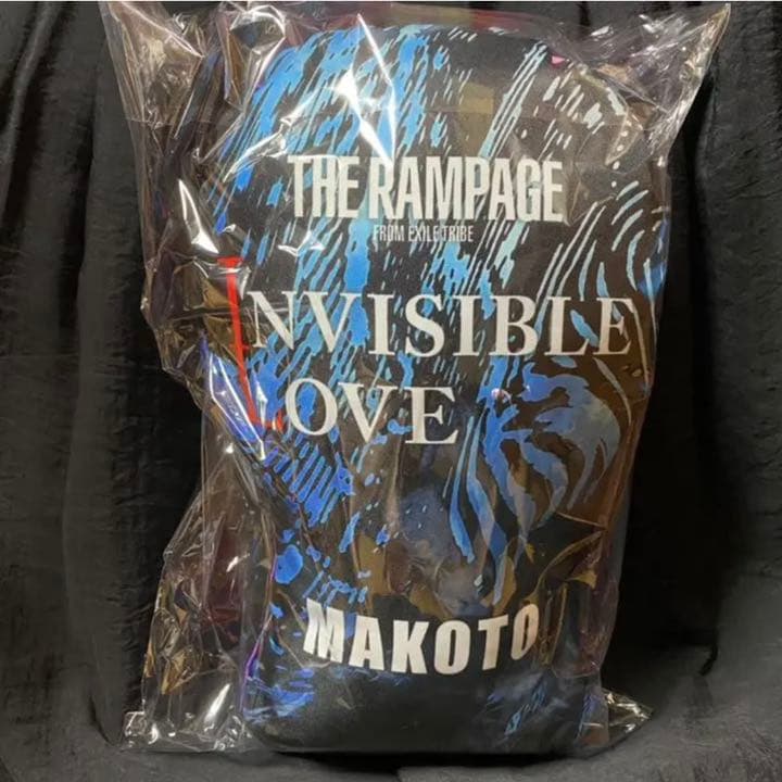 長谷川慎　クッション