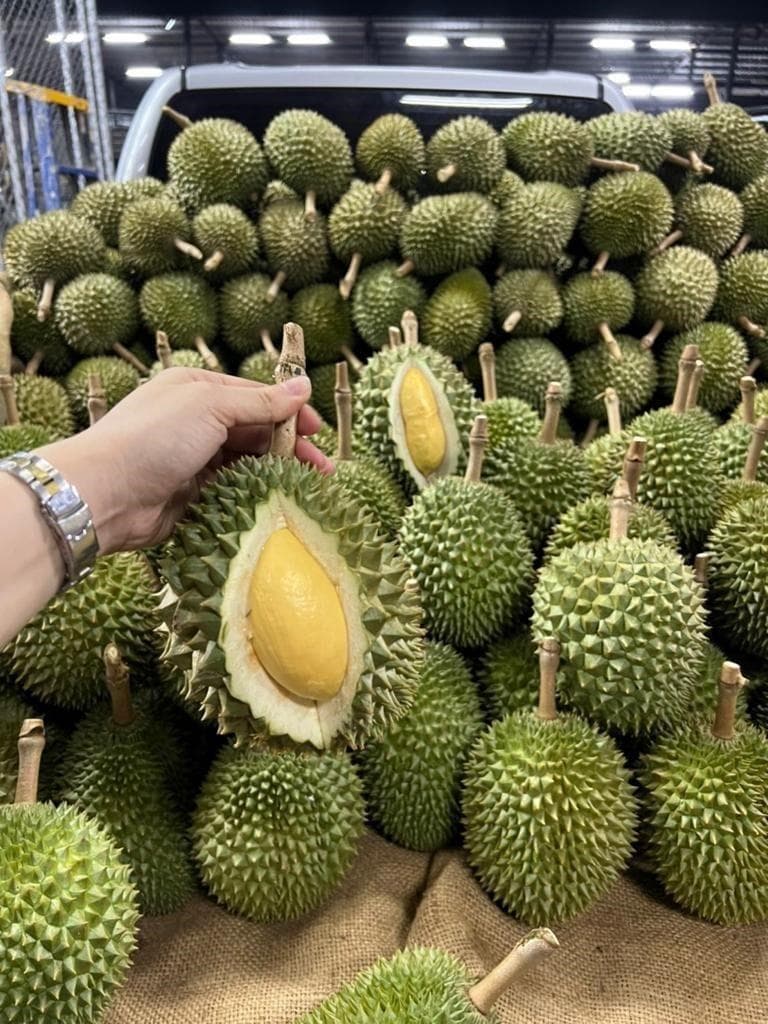 年末特売+即日発送（タイ産ドリアン　泰国榴莲　5玉セット）送料無料+数量限定