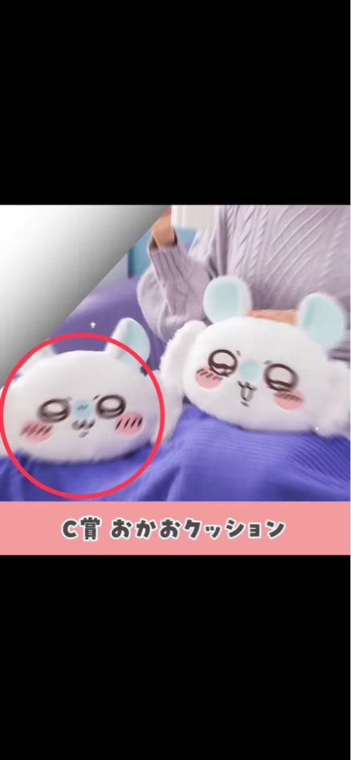 KENY モモンガ　超BIGサイズぬいぐるみ おかおクッション　その他