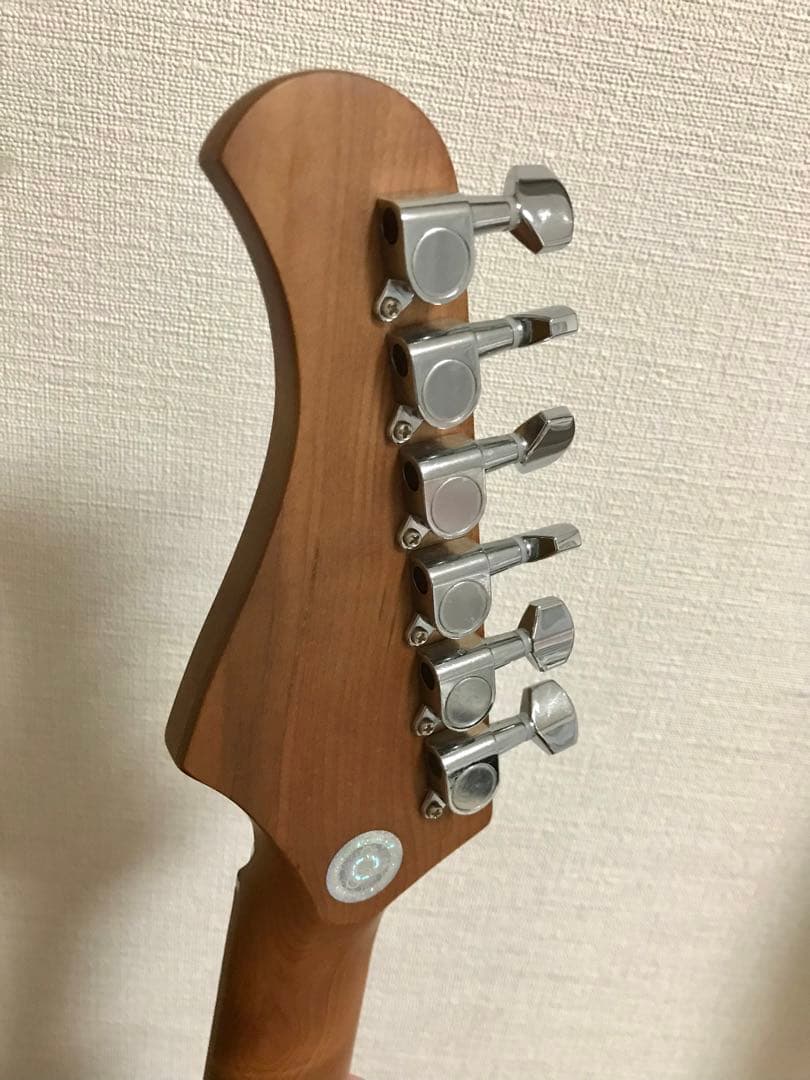 ギター Bacchus GS-2DX RSM/M 3TS