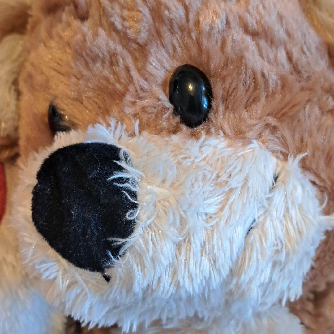 スージーズー　サンアロー　ハート　ぬいぐるみ2体セット　SunArrow　大きい