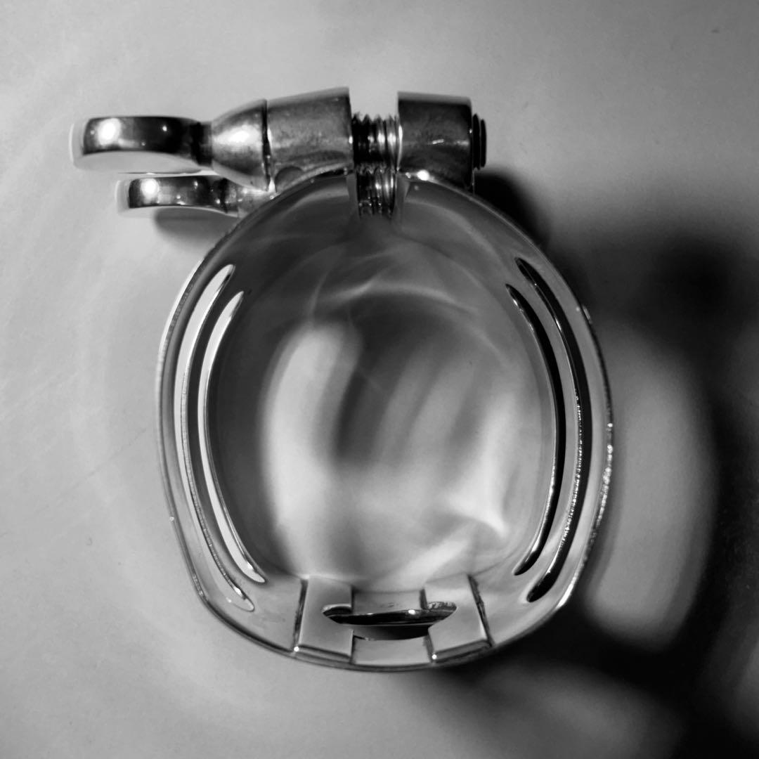 WoodStone 総銀製 SSアルトサックス用