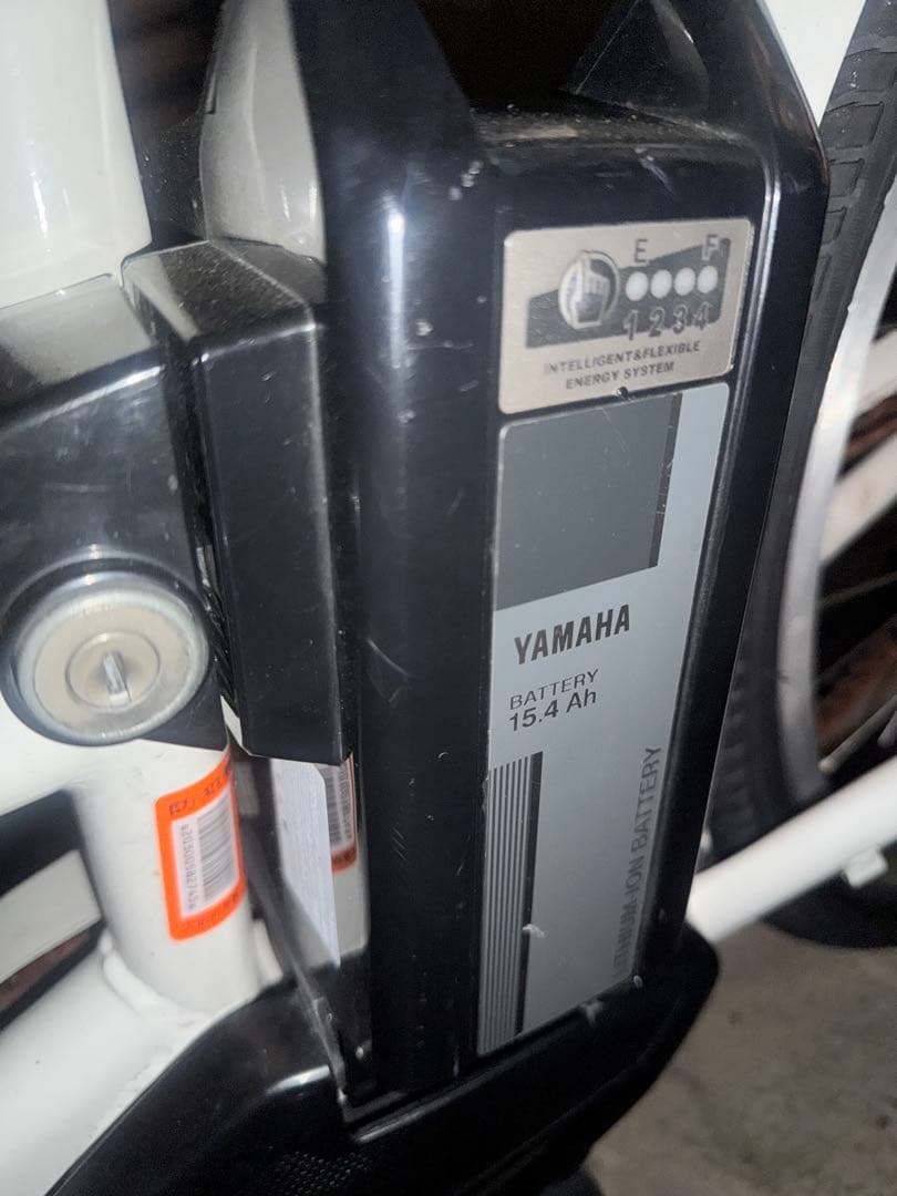 屋根付き電動自転車【大阪府吹田市】