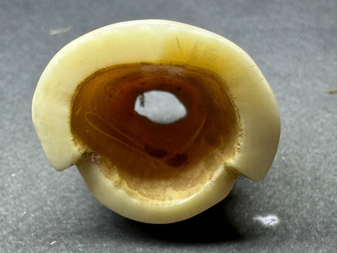 根付　鯨歯　古美術品　 置物　細密細工　骨董　アンティーク　彫刻 工芸品