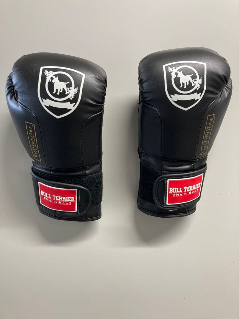 Bull Terrier ブルテリア　ヘッドギア、グローブ、シンガードセット販売
