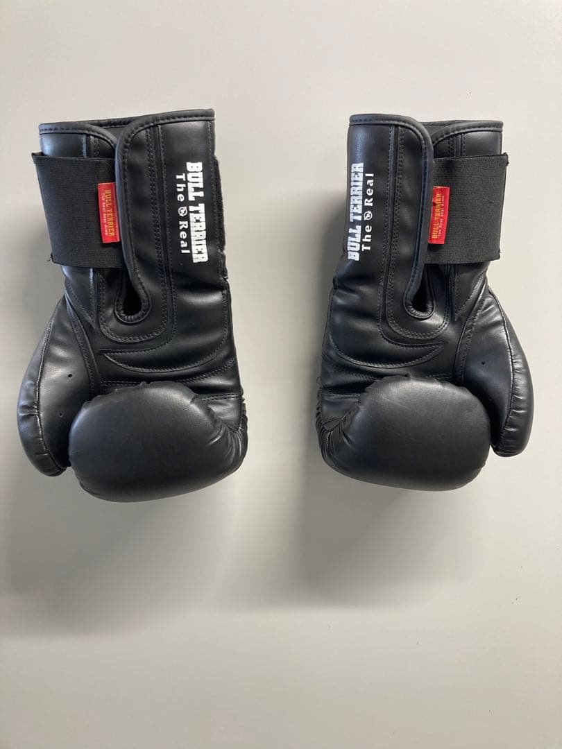 Bull Terrier ブルテリア　ヘッドギア、グローブ、シンガードセット販売