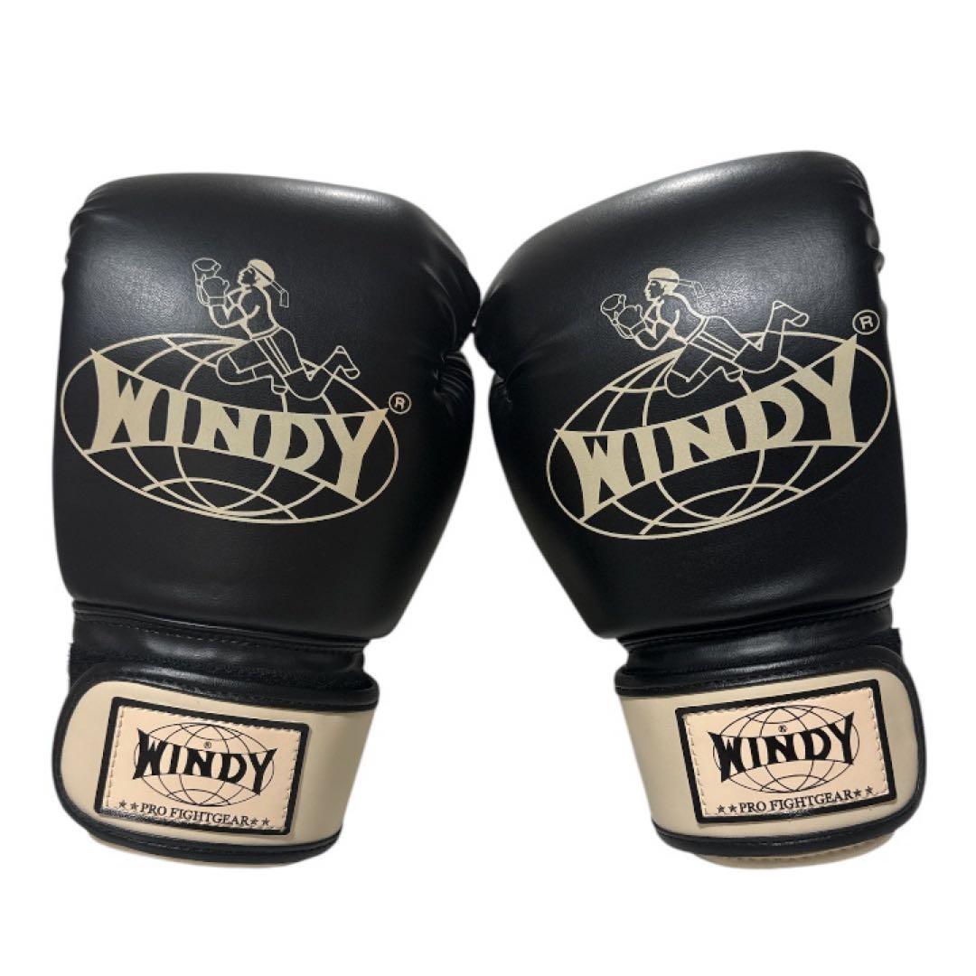 最終値下げ【極美品】WINDY ボクシング グローブ 10 黒 ベージュ