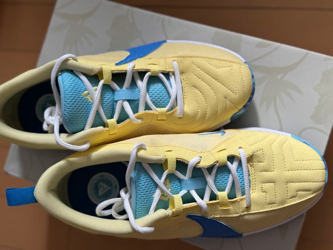 Nike バスケットボールシューズ イエロー/ブルー