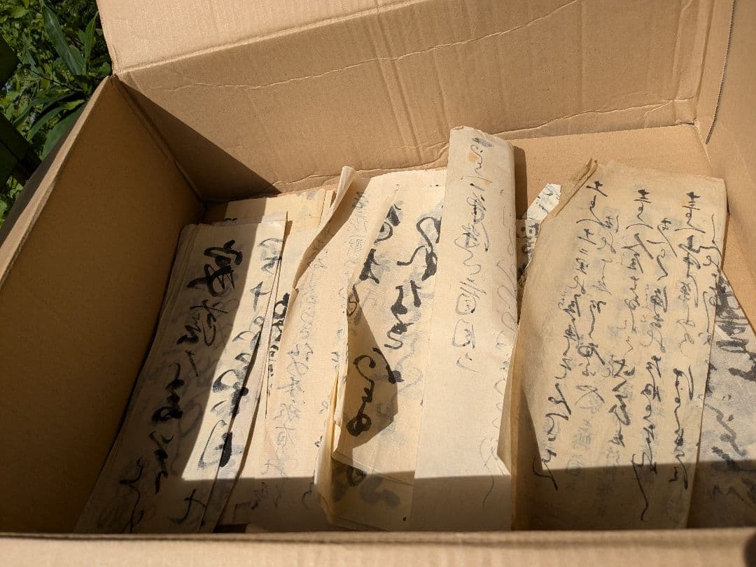 m176 古文書 一括 山形 仏教 寺院 写真