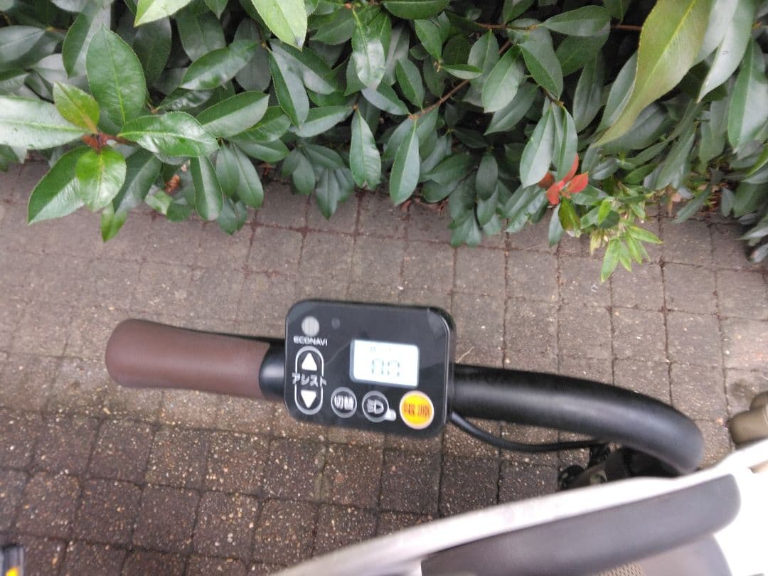 値下げ不可　ギュットクルームEX 　限定カラーモデル