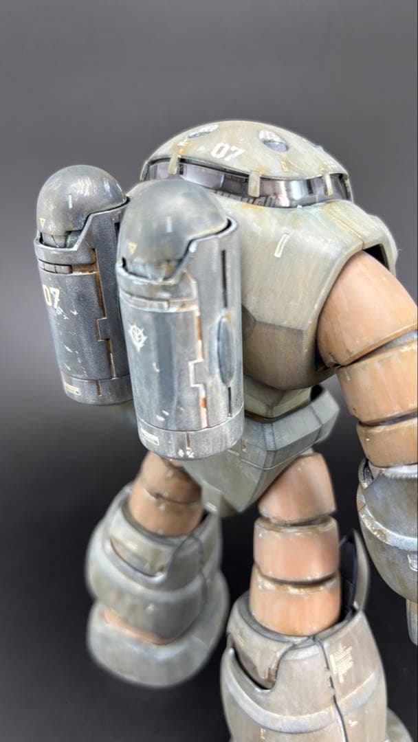 【塗装完成品】ＭＧ 1/100 ズゴック