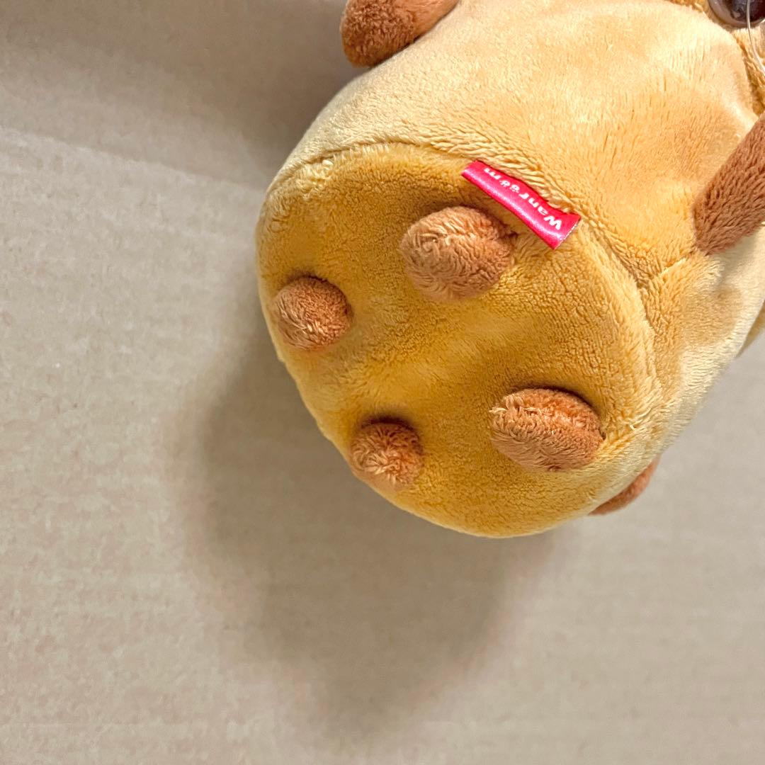 San-x Wanroom 植木 観葉植物 置き ぬいぐるみ 小物入れ