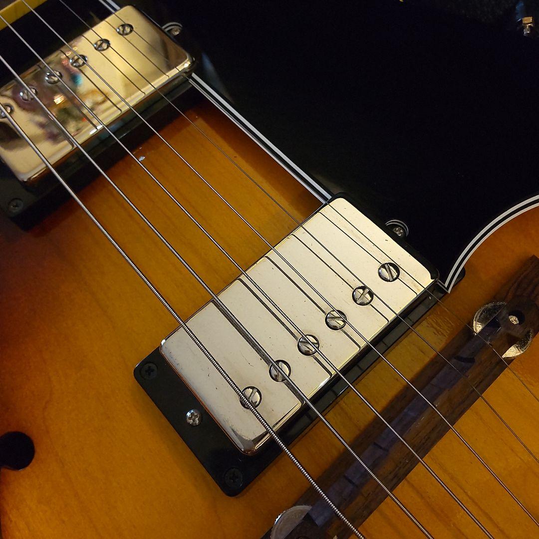 KING SNAKE Curtis H Deep Body フルアコ