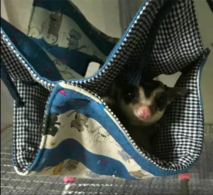 モモンガハウス(キャンディ柄・紫)春(夏)秋仕様  1900円