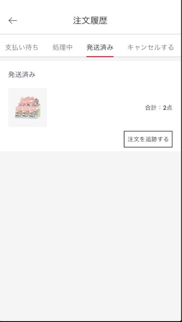 正規品 未開封 LABUBU EXCITING MACARON 2個セット