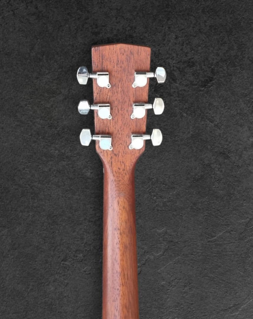 CORT CAG-1F / CAG-1D アコースティックギター Cort