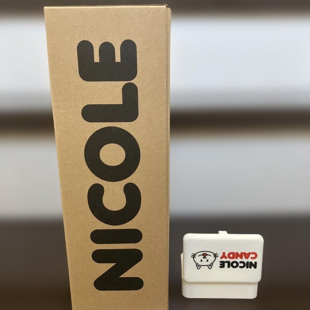 新品・未使用 ニコル ぬいぐるみ BUMP OF CHICKEN 小物入れ 銀テ