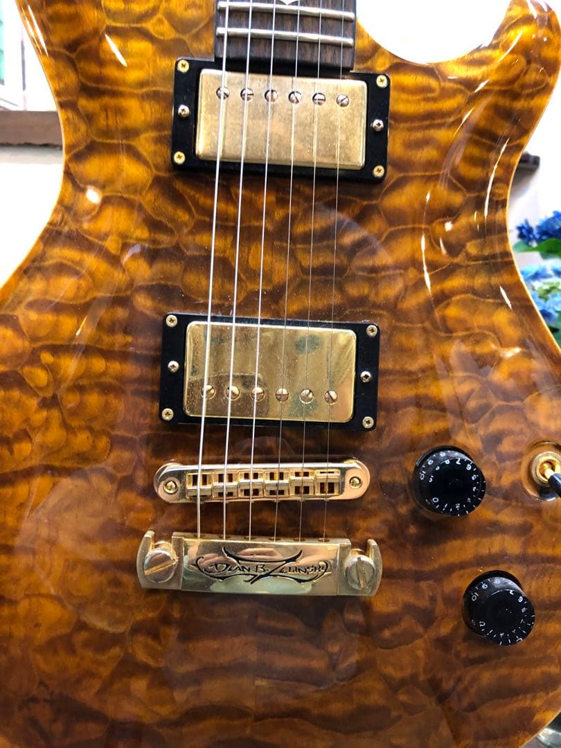 富士弦製DBZ GUITARS Infinity Mondial　T'sPU搭載