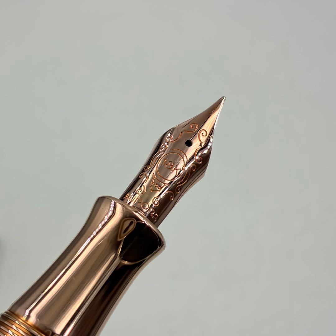 訳アリ AURORA アウロラ 万年筆 ダンテ・パラディソ 920-CPW