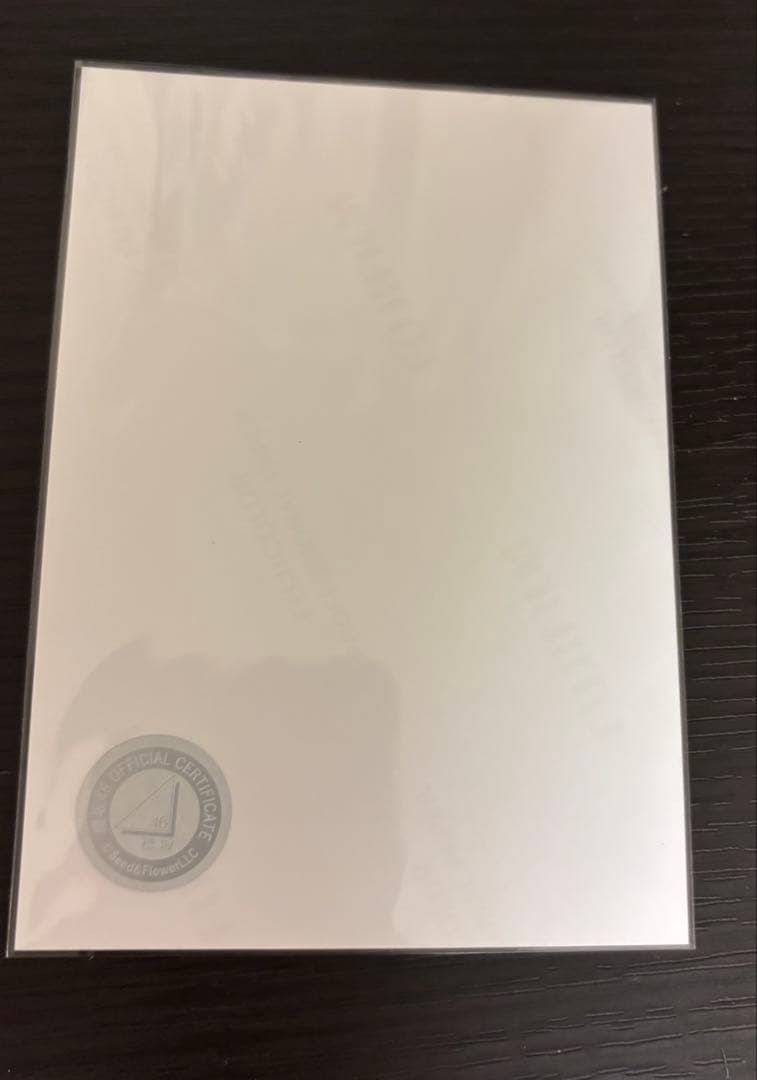 マルコ　幸阪茉里乃　直筆