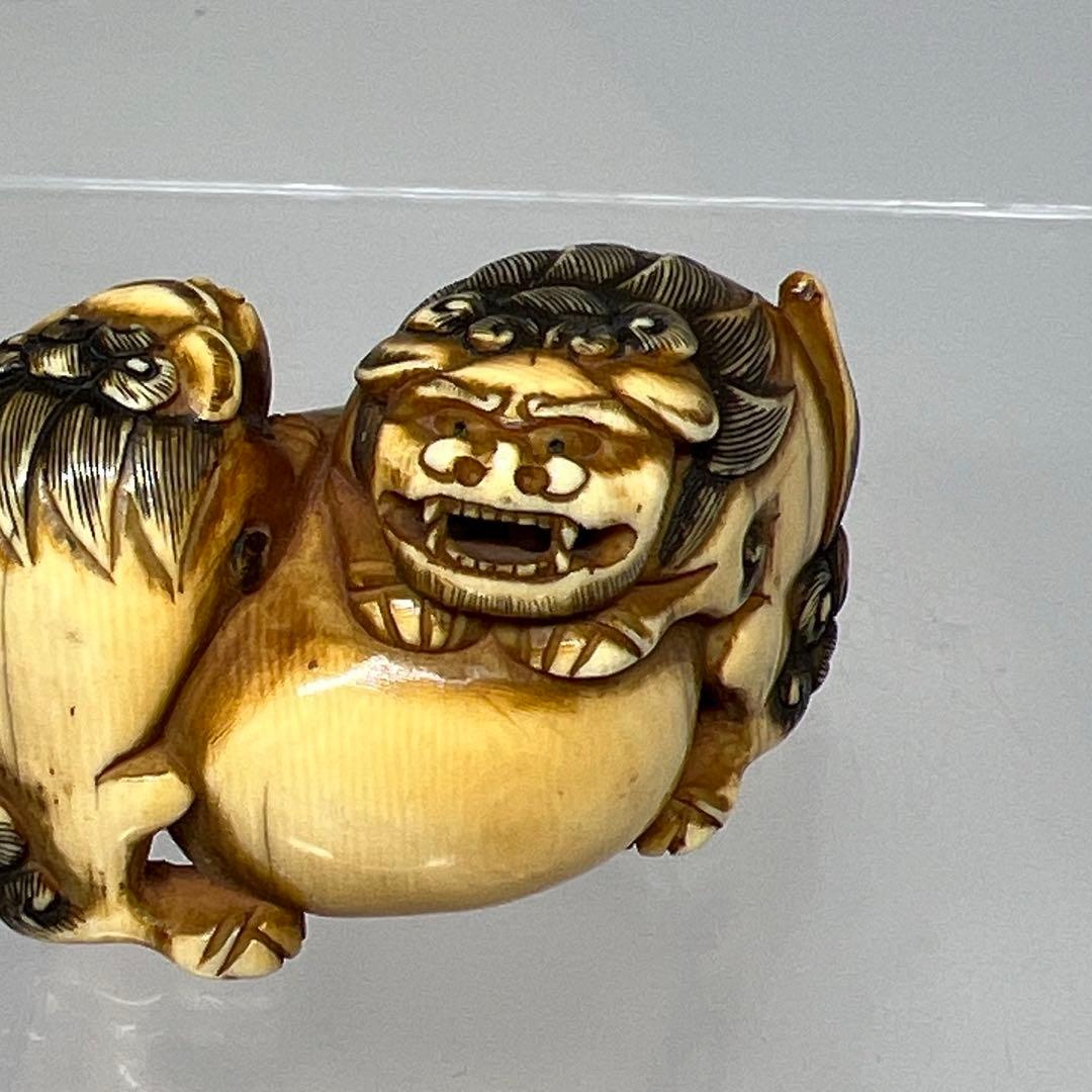 江戸時代　極上　獅子　根付　41g トニサト　東さ7-0923☆2F