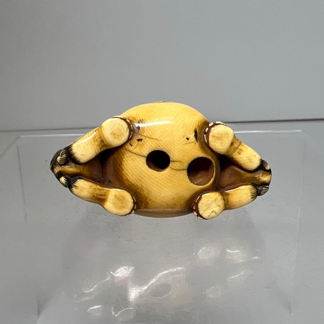 江戸時代　極上　獅子　根付　41g トニサト　東さ7-0923☆2F