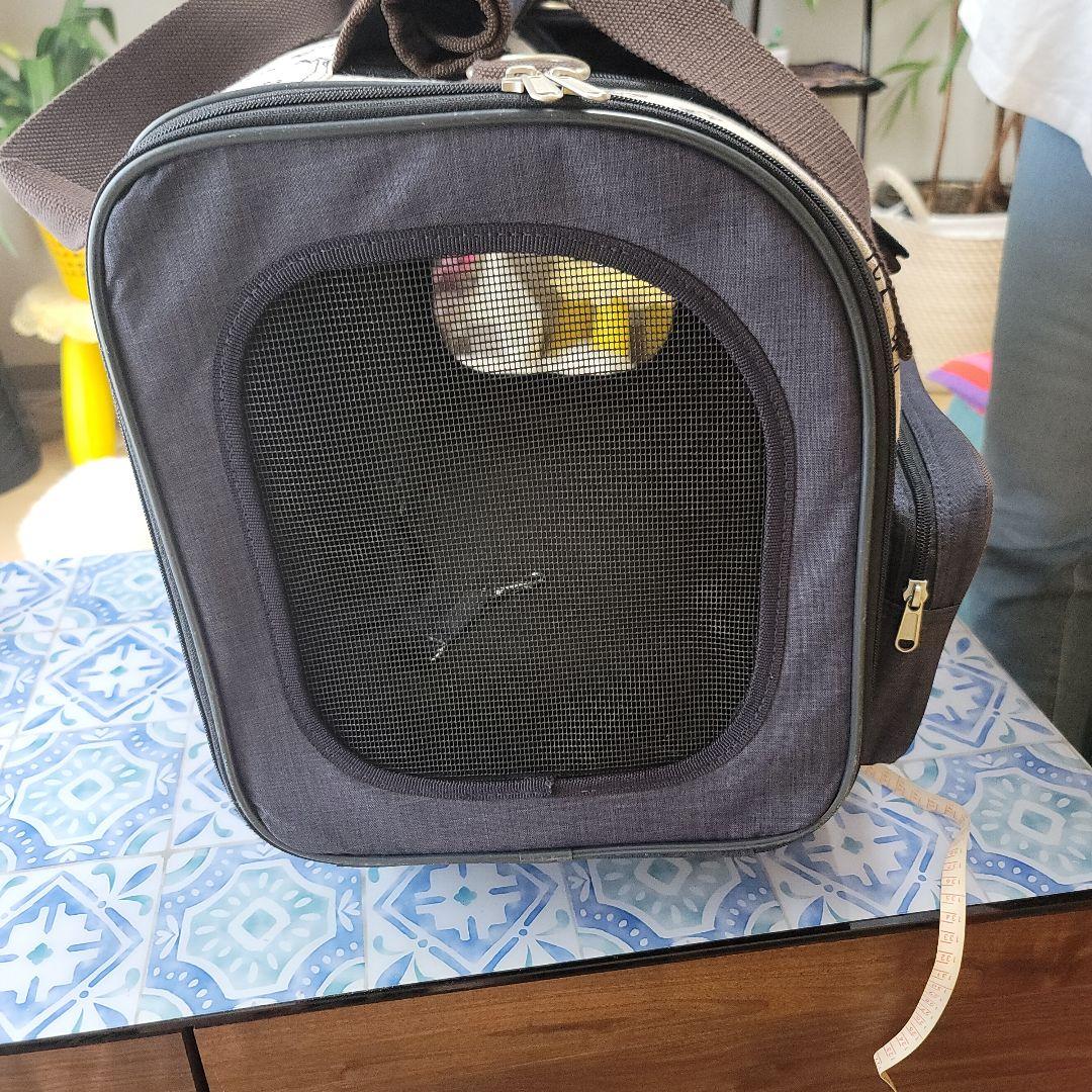 スヌーピーキャリーバッグ