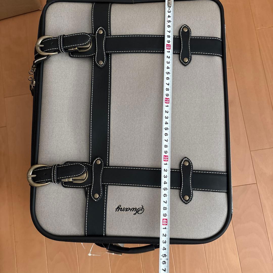 ✨新品✨SWANY トランクキャリーバッグ ウォーキングバッグ