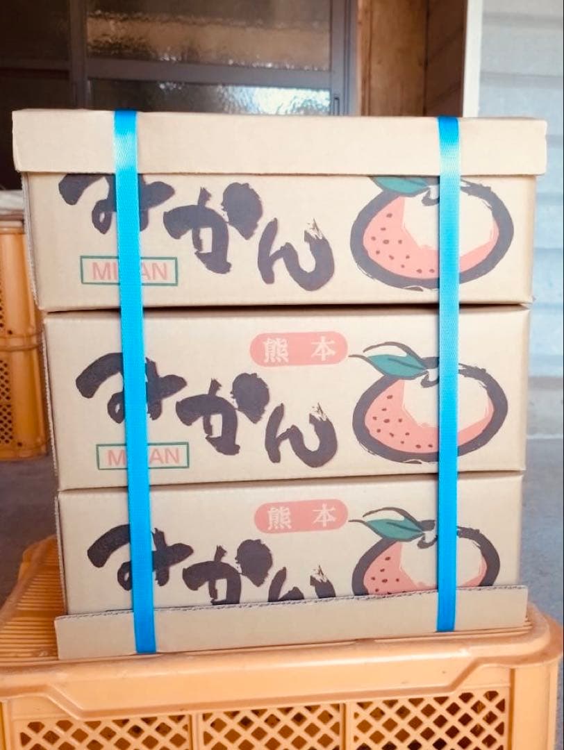 みかん15kg 送料込み 熊本産 甘い ミカン 15キロ 西南のひかり