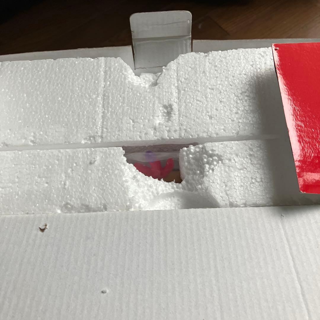 不思議の国のアリス ミラーバード 鏡