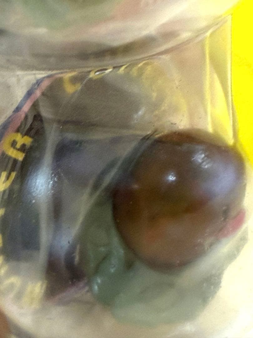 新品未使用♦︎絶版ポケモンモンコレ77ダグトリオ&ディグダ完全未開封未展示【希少】