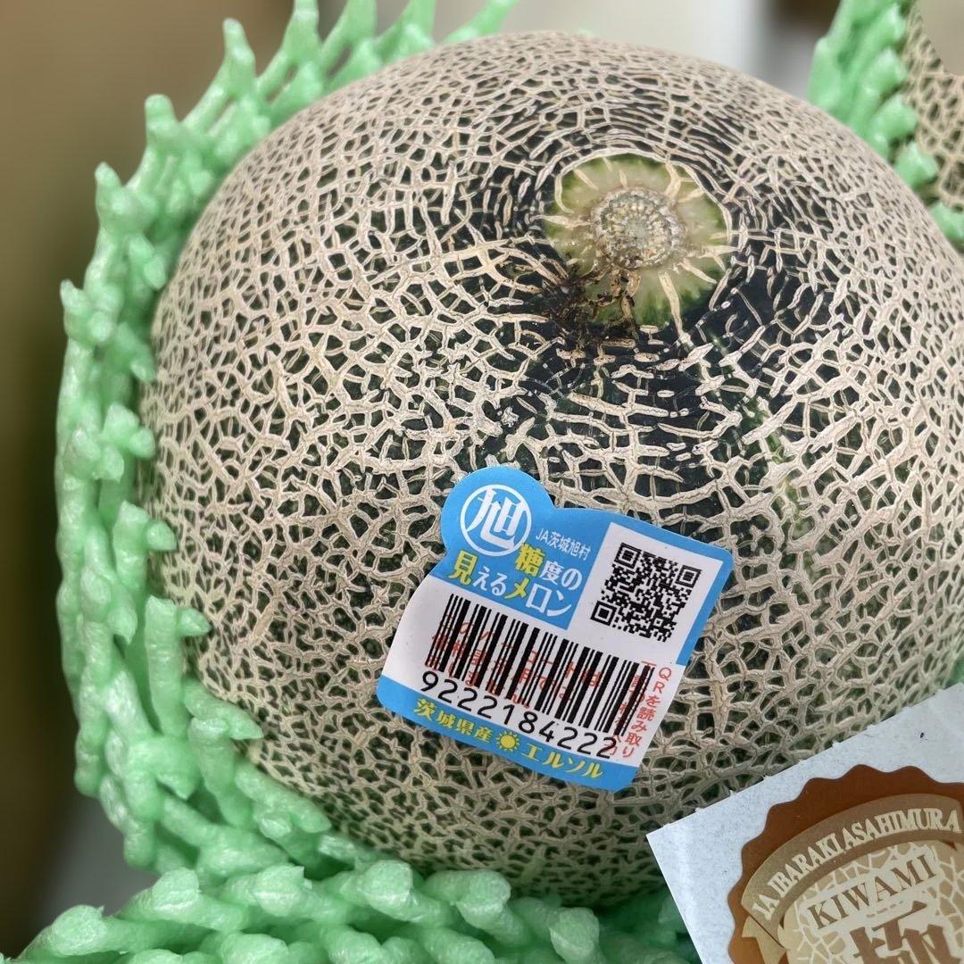 0291糖度18度以上！茨城県旭村産エルソルメロン極3Lサイズ1箱4玉入り