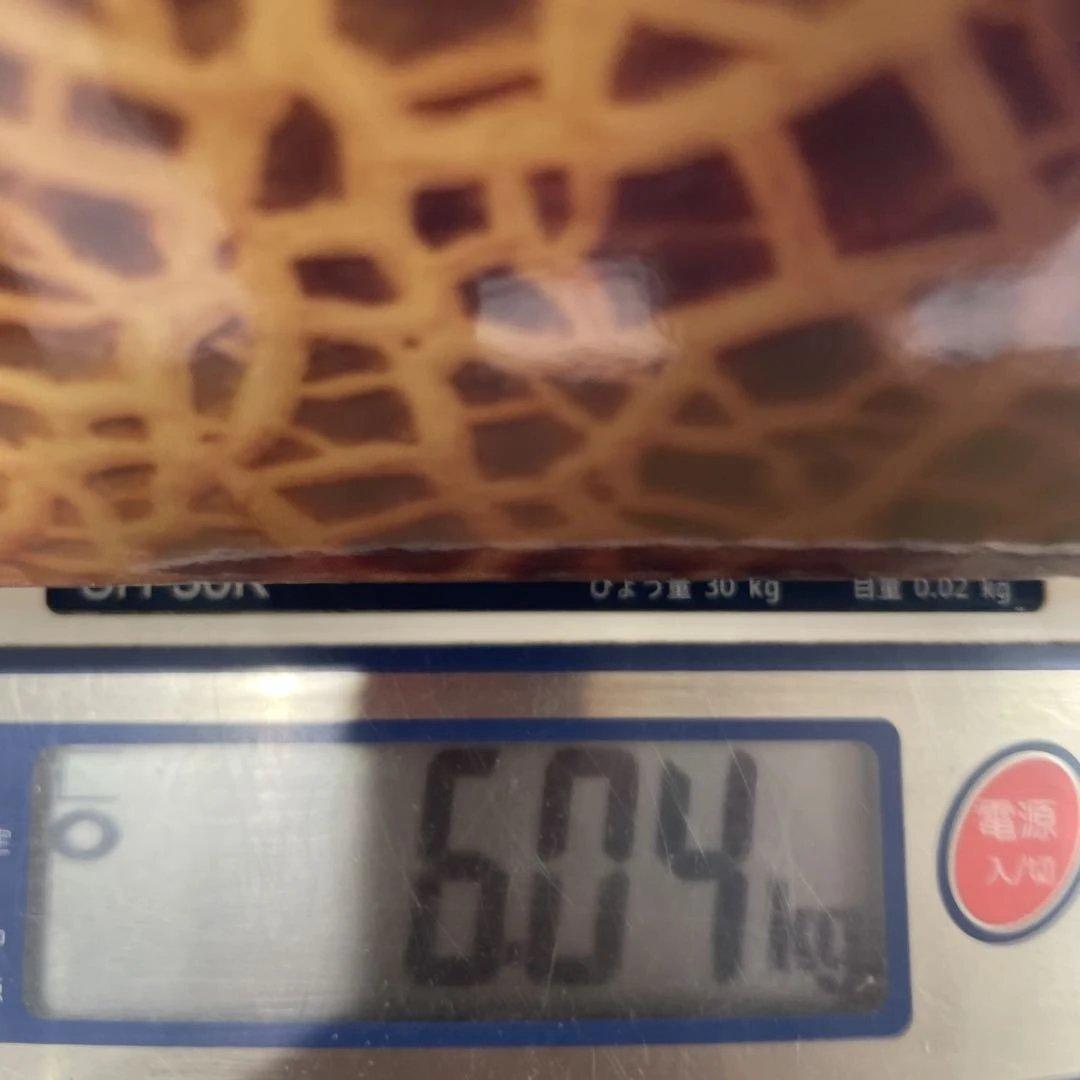 0291糖度18度以上！茨城県旭村産エルソルメロン極3Lサイズ1箱4玉入り