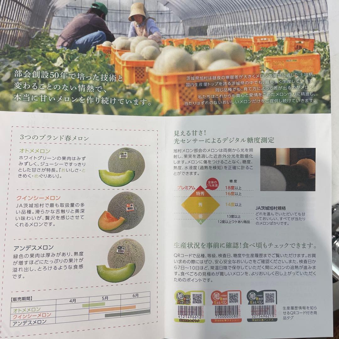 0291糖度18度以上！茨城県旭村産エルソルメロン極3Lサイズ1箱4玉入り