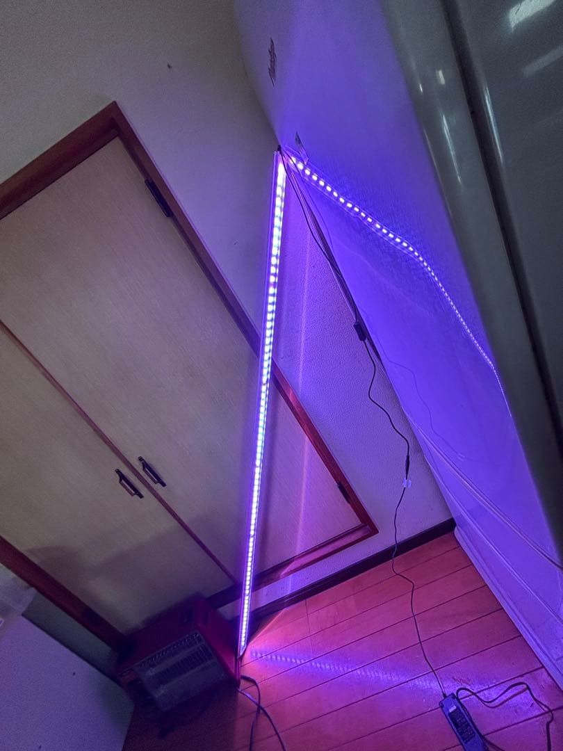 ゼンスイ　ＬＥＤ　ＰＬＵＳ　180ｃｍビューティールクス　アクリル水槽　アロワナ