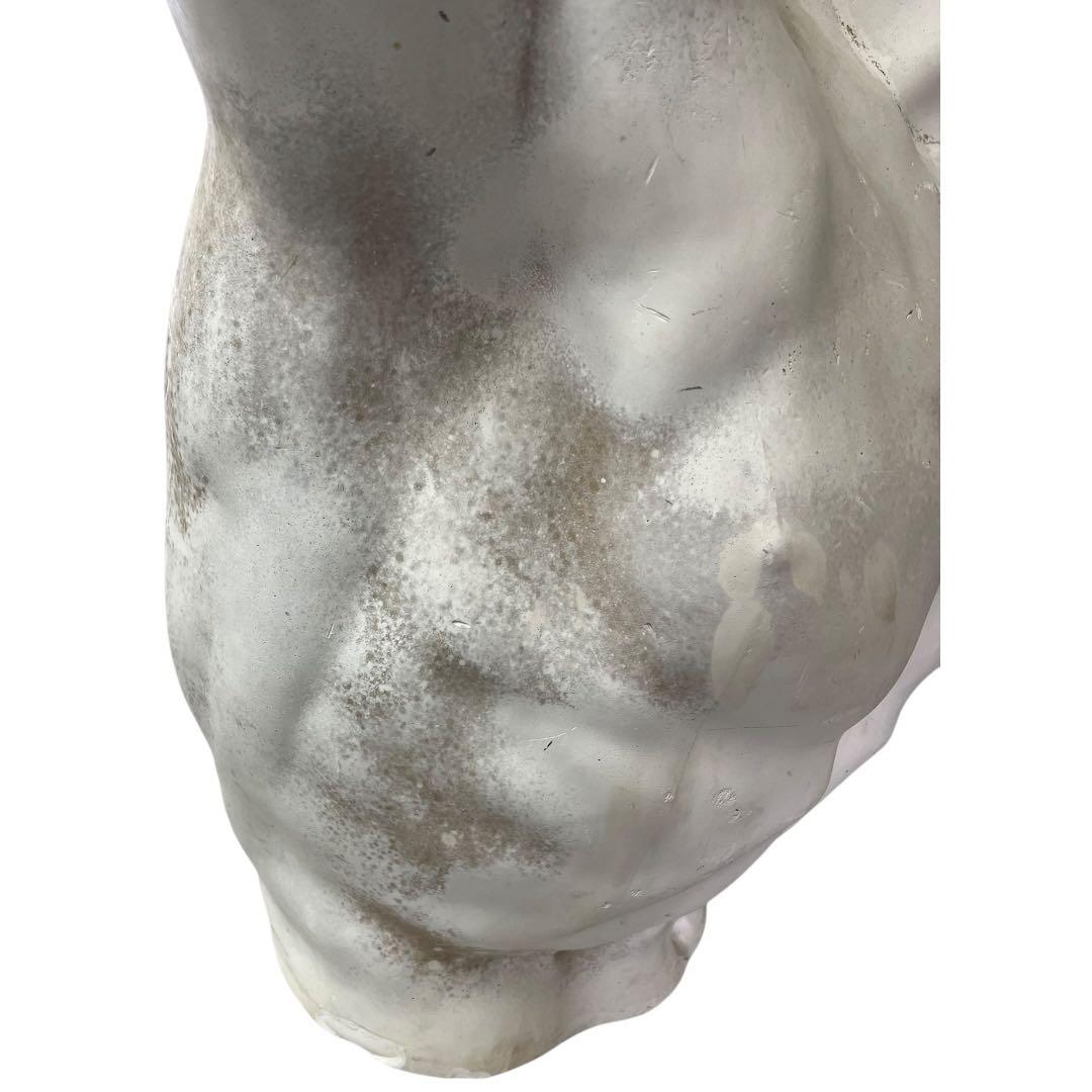 希少　ラオコーン　石膏像