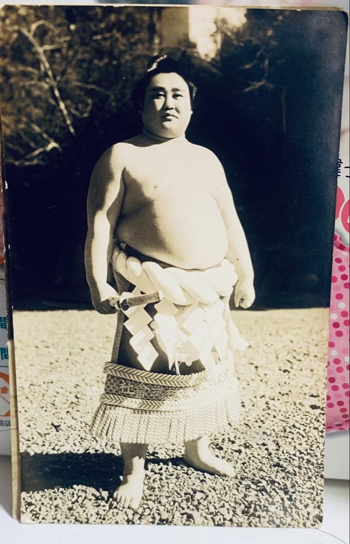 大横綱照國生写真