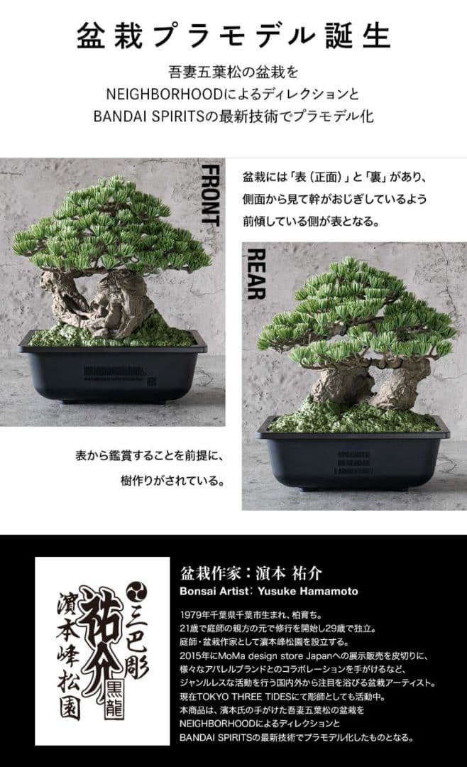 盆栽　プラモデル　　Bonsai Model Kit　NEIGHBORHOOD