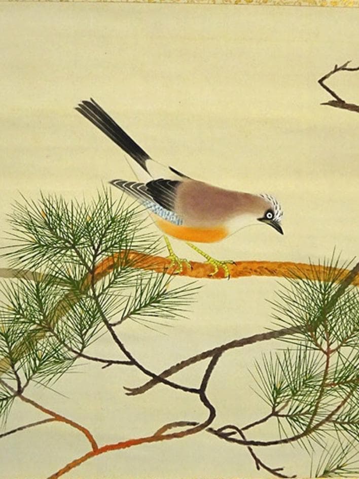 掛軸 長三郎『松に小禽図』絹本 肉筆 無地箱付 掛軸 a020715