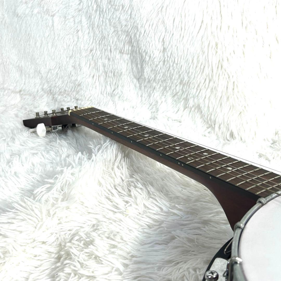 【希少】Blanton ブラントン 6弦 ギターバンジョー